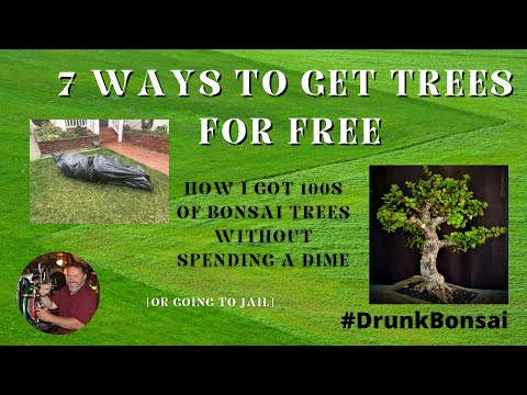 7 Ways to Get Your Bonsai Trees for Free, S01 E18