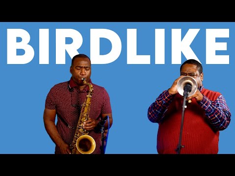 Take Flight with 'Birdlike' at Emmet's Place!