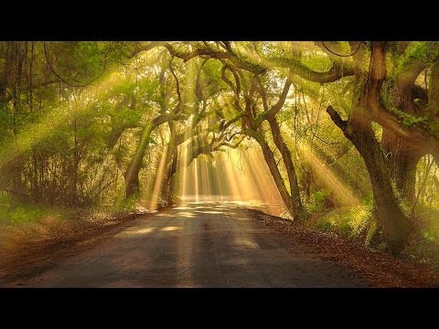 How to Set Up and Use a Wacom Tablet