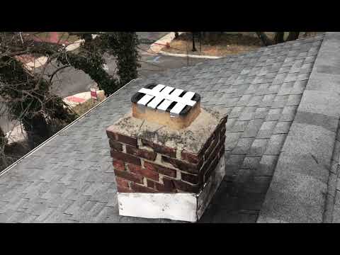 Raccoons Use Chimney to Enter Home in Shrewsbury, NJ