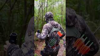 Gigantische Hirschbrunft in Ungarn 🇭🇺 Teil 3 von ⁨@schwarzwaldhunters⁩