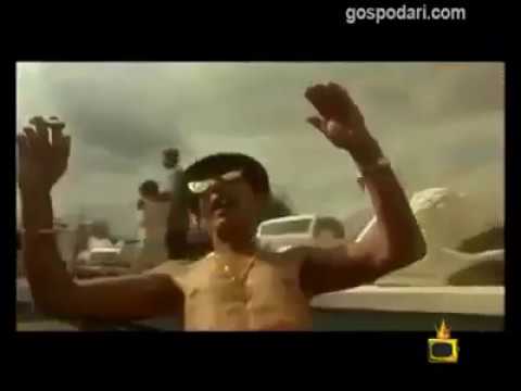 Черна котка бял Бойко котарак