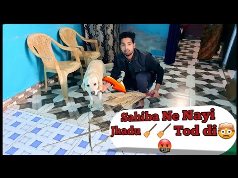 Sahiba Ne Phir Se kaam Bigada 🤬🤯 firkya hua 😬😁 #pets #trending1  #vlogs