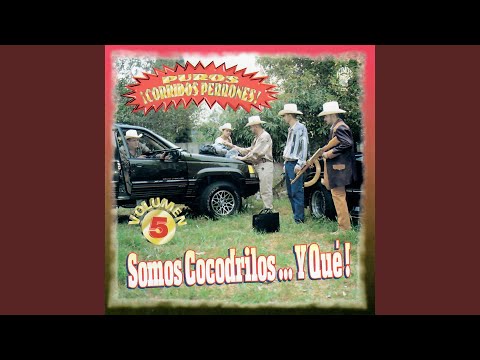 Loqueamos en el Pantano