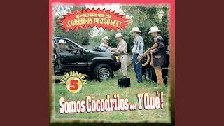 Download lagu Loqueamos en el Pantano mp3