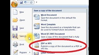 How to Save a Document as a PDF / XPS File in Office 2007