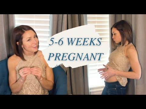 5 and 6 Weeks PREGNANCY UPDATE | Symptoms, Cravings, Cramping, WORRY, Belly Shot, Baby's Growth