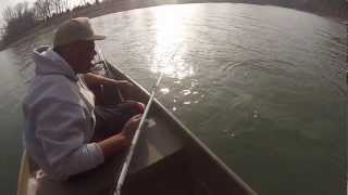 preview picture of video 'Bass Fishing- White Bass and Smallmouth Bass on Alabama Rig- Mosnter River Bass'