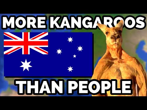 One Fact About Every Country in the World!  🌍 (Pt. 1)