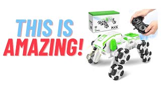 Are You Ready for the Coolest RC Car Ever? Meet the Triplefine Robo Dog!