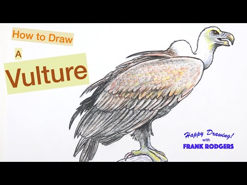 How to Draw a VULTURE. Sketching Birds No 8. Happy...