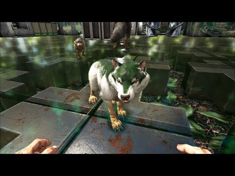Ark solo ascention14! TLC update! Mutated green baby direwolf!