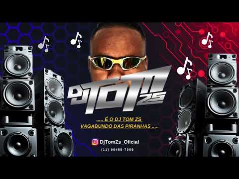 FAZ CARINHO - MC GW E MC PIPOKINHA - FE!N (DJ TOM ZS E DJ LUIS