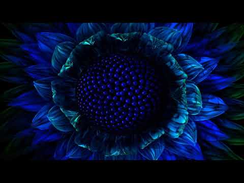 [Hitech Dark Psytrance]  Summer '18  🌞__last day 😯😥