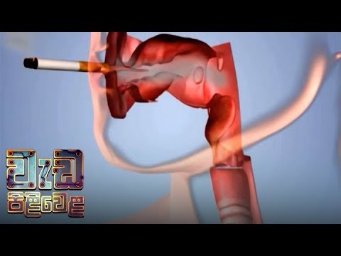 Wedapiliwela - (2018-09-03) | ITN