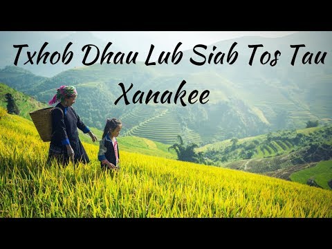 🎋Txhob Dhau Lub Siab Tos Tau - Xanakee #hmong #hmongmusic #hmongsong #nkaujhmoob
