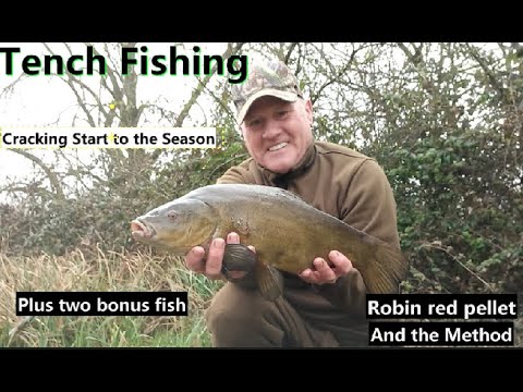 Tench Fishing. Cracking Start to the Season. #tench #shimano #korum #fishingvideo  #brownsangling