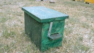 Как и когда надо ловить рои