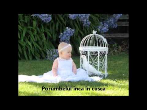 Cristian Ionescu- Doamna Ministru Ana Costea a dat din greseala drumul la porumbel