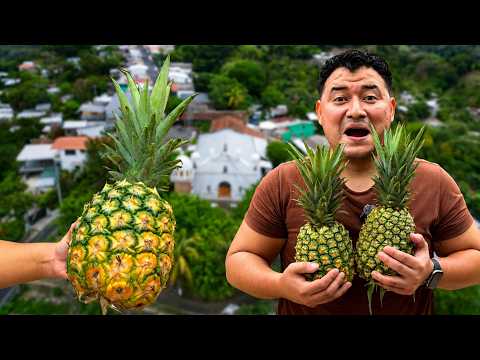 LAS PIÑAS MAS DULCES DE EL SALVADOR | Santa María Ostuma