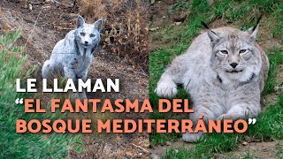 Thumbnail del capítulo