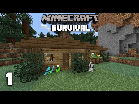 Minecraft: A New Journey - 1.15 Survival Let's play | Ep 1