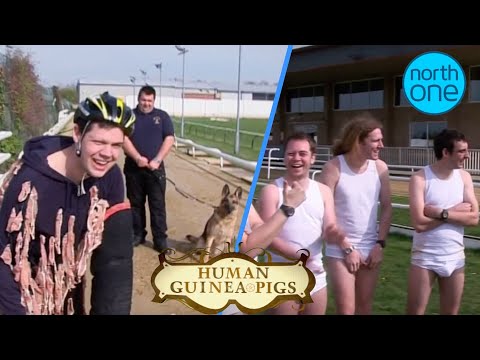 Man v Dog: 100m SPRINT being chased by A DOG | Human Guinea Pigs FULL Episode