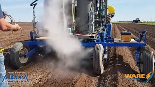 Preventing Beet Nematodes in Strawberry by Field Steaming - Steam Culture