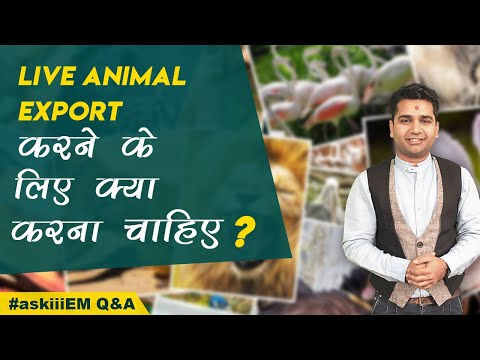 download lagu mp3 mp4 Goat Export From India, download lagu Goat Export From India gratis, unduh video klip Goat Export From India