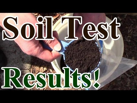 Soil Test Results! Are Compost, Worm Castings & Mulch Enough?