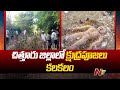 Occult worship in Chittoor district Chittoor | Ntv