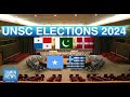🔴LIVE: UNSC Elections 2024 | Pakistan, Panama, Greece, Somalia, Denmark | DAWN News English