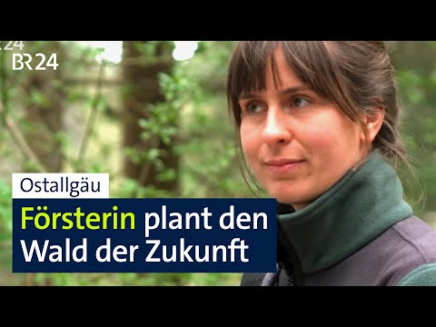 Young forester plans the forest for the next generation | Evening News | BR24