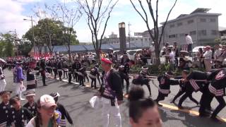 preview picture of video '泉佐野だんじり祭2013鶴原町のやり回し / Izumisano-Danjiri・・・Yarimawashi'