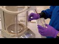 CHEM 255 - The Stereoselective Reduction of Camphor