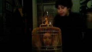 8th Wonder of the World