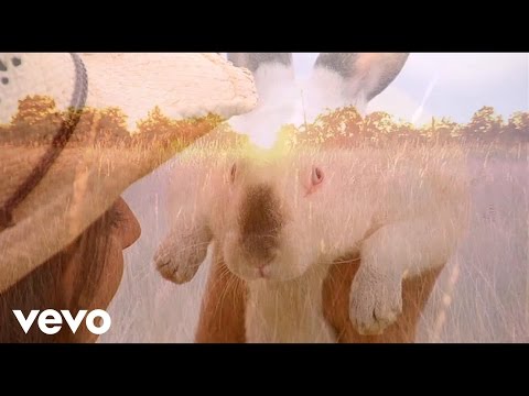 Conjunto Agua Azul - Amor Del Bueno / Reeditado