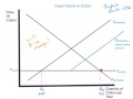 Import Quota Explainer