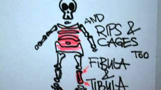 skeleton song kate nash animation