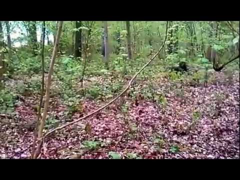 Find The SnipeR #8 Double