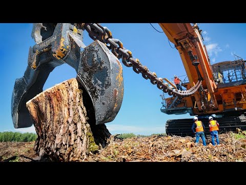 Amazing Powerful Stump Removal Excavator At Another Level, Fastest Wood Chipper Machines Working