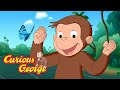 George S Amazon Adventure Full Episodes Curious George