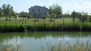 preview picture of video 'Casa Fontanino - Agriturismo Lucca- Bed and Breakfast Lucca - affitto villa toscana'