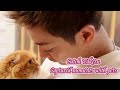 Satoh Takeru Captured Moments W His Pets