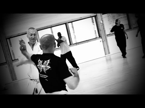 Wing Chun et Karaté, la main vide
