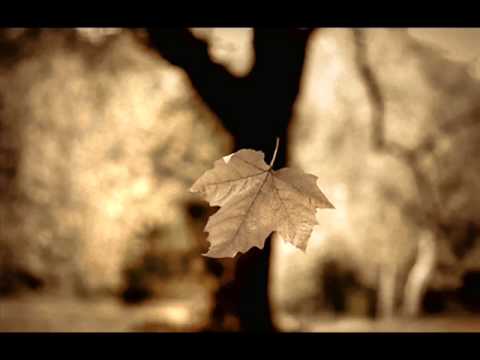 Luca Bob Gotti & Paola Nerva - Falling Slowly
