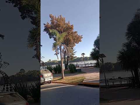 Llegada al Río Paraná de las Palmas. Escobar. Buenos Aires.