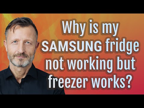 Why is my Samsung fridge not working but freezer works?