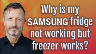 Why Is My Samsung Fridge Not Working but Freezer Works?