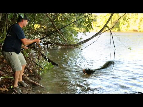 TERRIFIANTE SURPRISE EN AMAZONIE - Cyril Chauquet